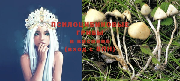 круглые Вязьма